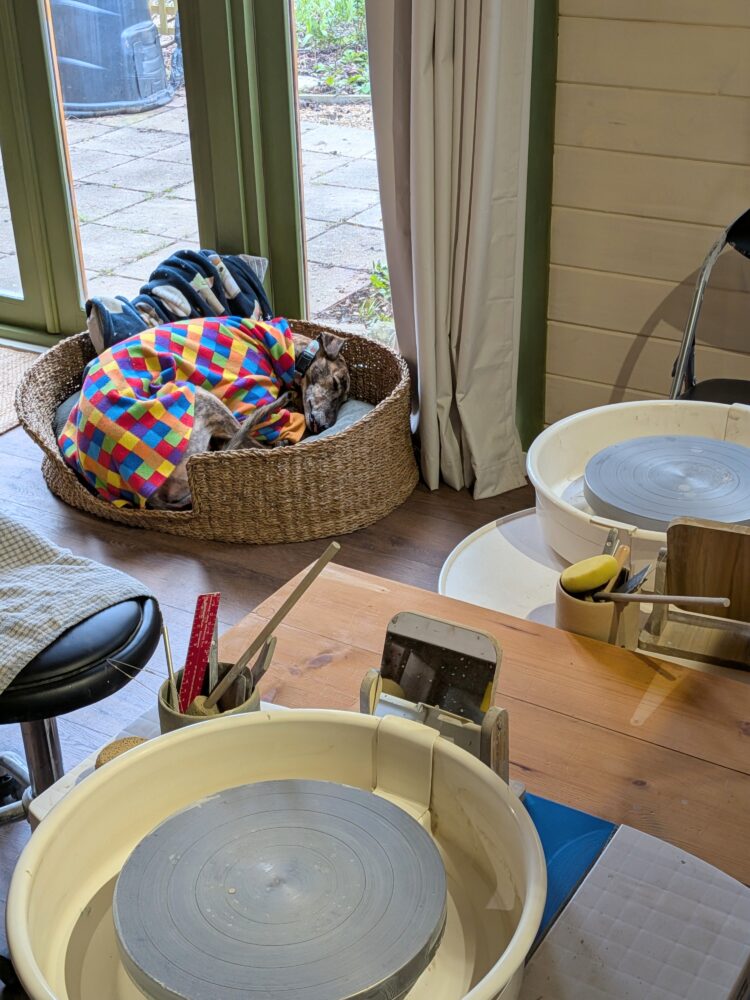 6 Week Beginner Wheel-Throwing Pottery Course 2026 [New studio location ...